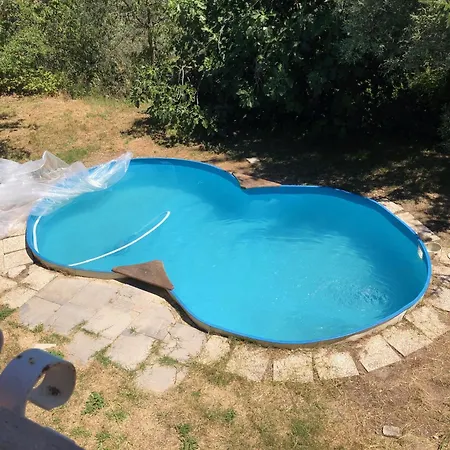 Il Colle Degli Olivi Apartment *