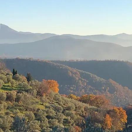 Il Colle Degli Olivi