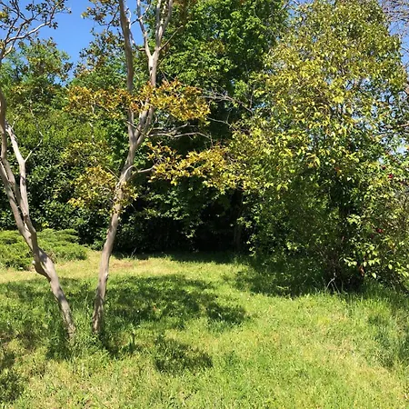 Il Colle Degli Olivi דירה Poggio San Lorenzo