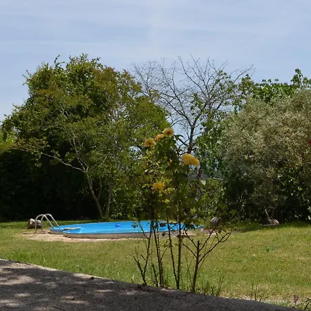 דירה Il Colle Degli Olivi